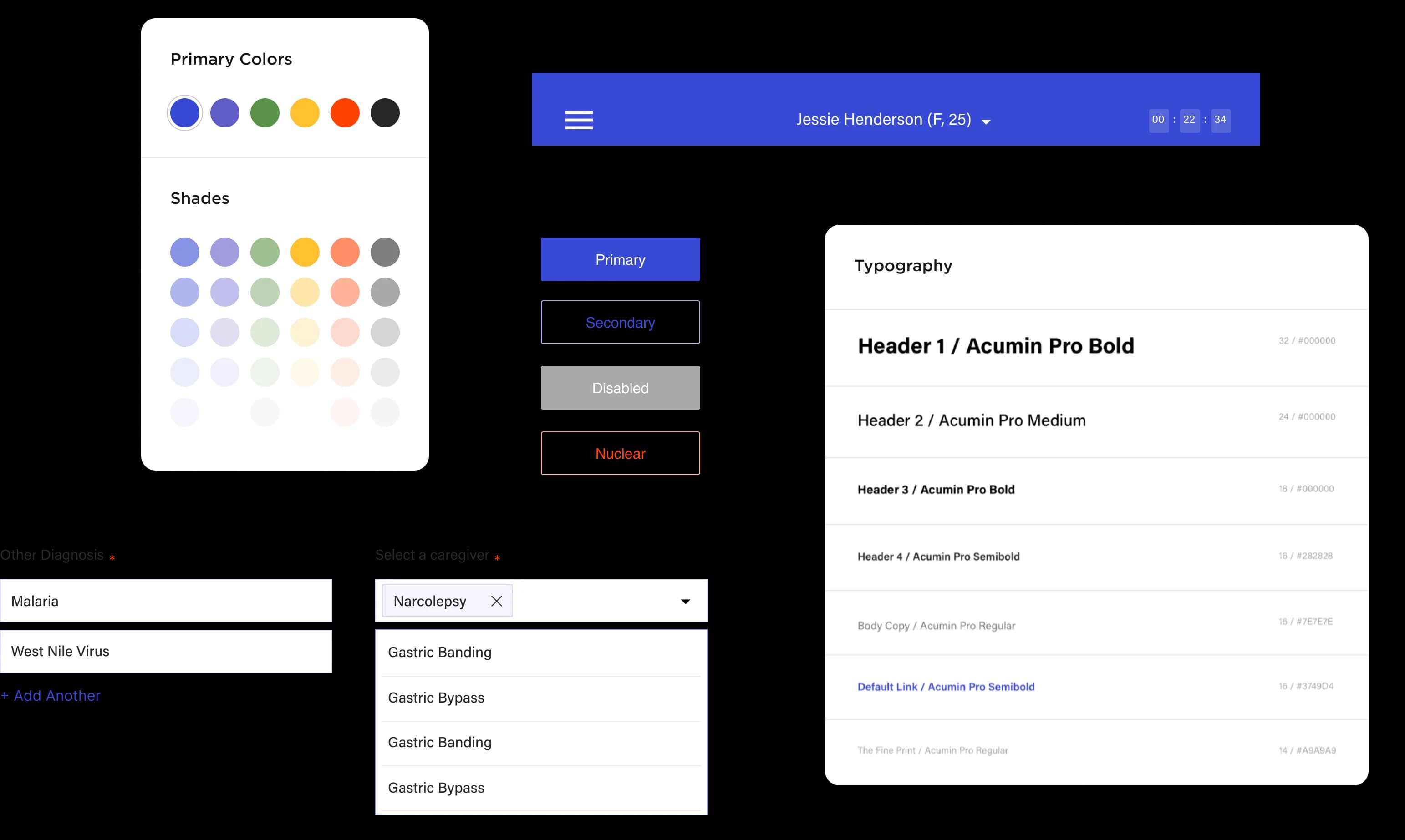 Design System and Color Palette