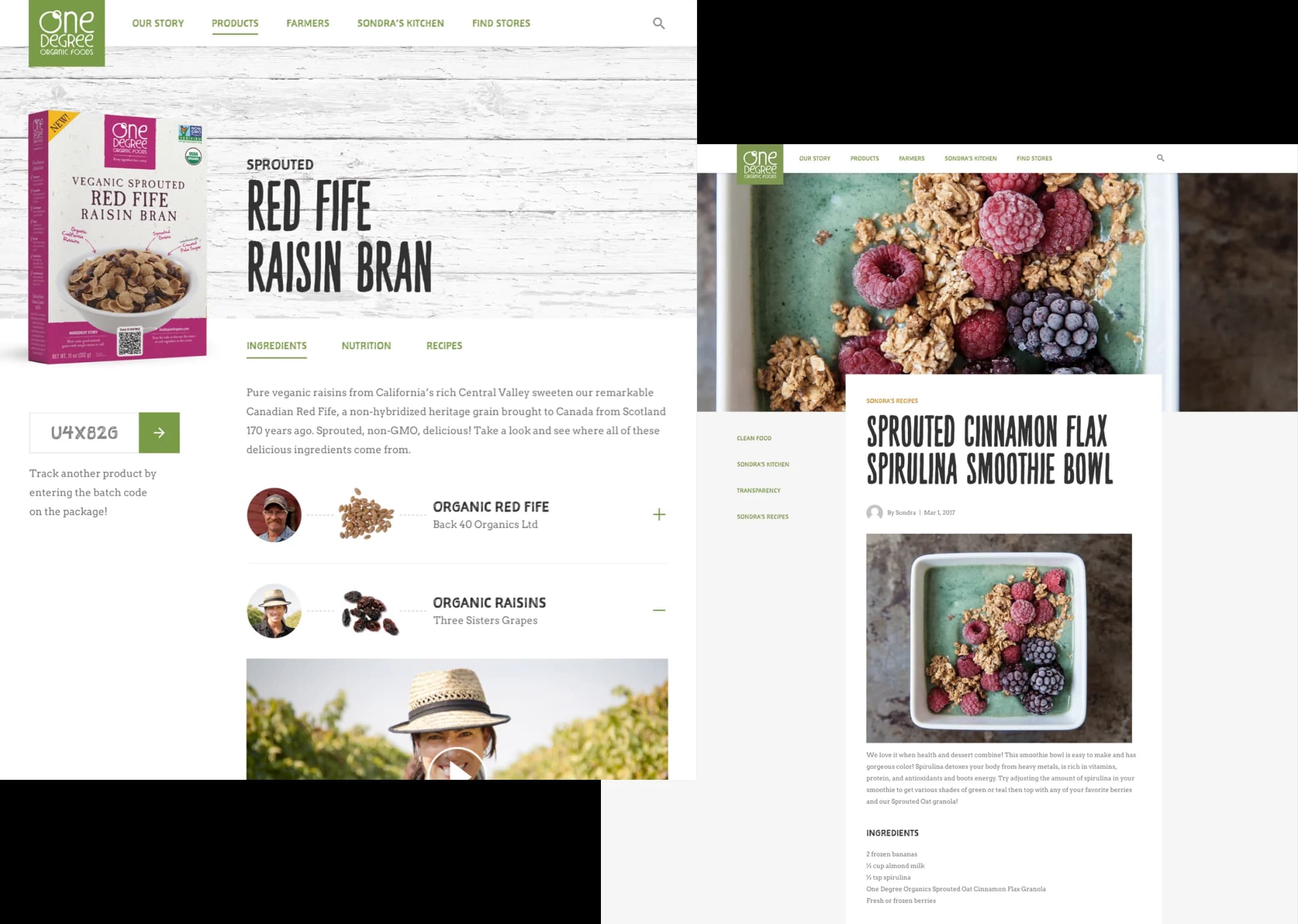 Website Design